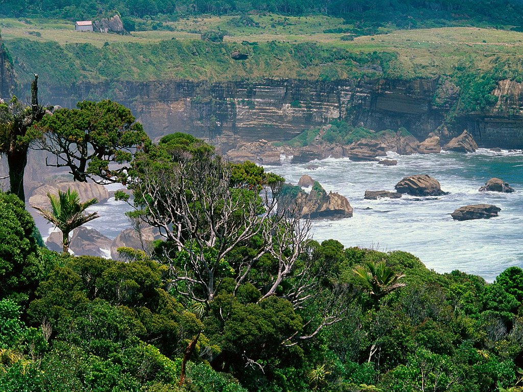 Misty Waters, New Zealand